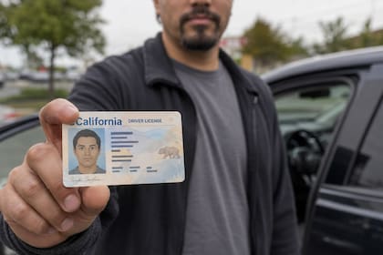 Para recuperar la licencia, sería obligatorio acreditar responsabilidad financiera