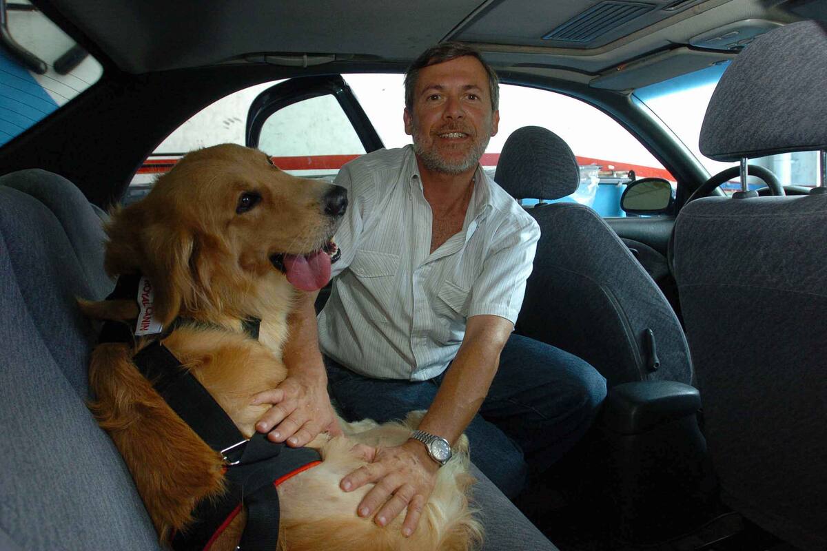 Para viajar con perros en el auto, existe un cinturón de seguridad especial para mascotas