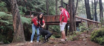 Parce aprendiendo a caminar con correa y cerca de sus humanos.