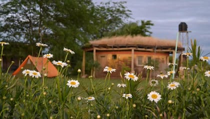 Pardo es un típico pueblo de la campiña bonaerense, con veredas arboladas, casas amplias con jardines inmensos, almacenes y vecinos que saludan