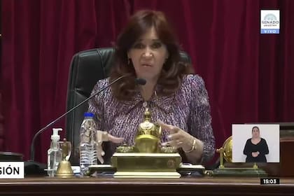 “Parecen gallinas”: el comentario de Cristina Kirchner para referirse a los senadores opositores