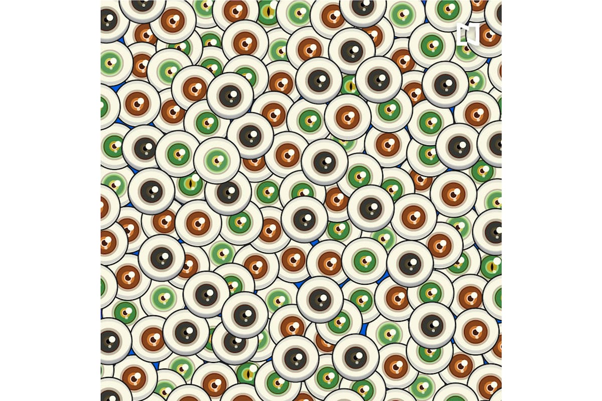 Parecidos, pero no iguales, están escondidos en esta imagen