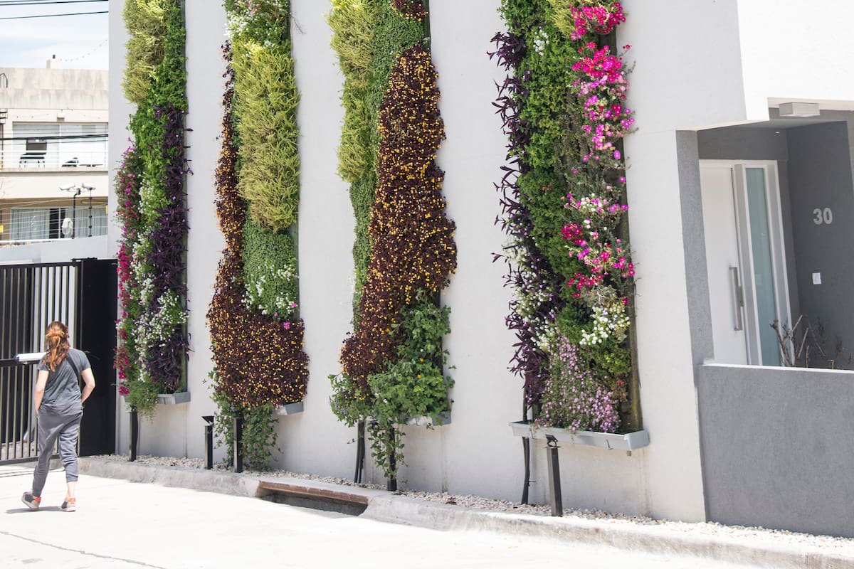 Pared cubierta por tiras vegetales de hasta 5 metros de altura.