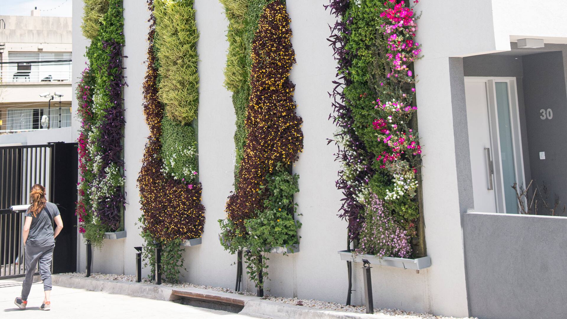 Pared cubierta por tiras vegetales de hasta 5 metros de altura.