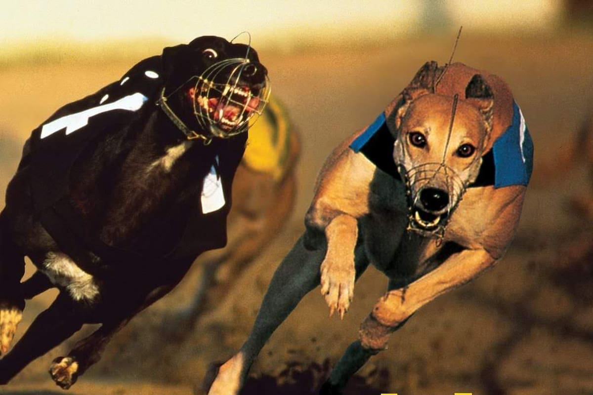 Parklife, el decisivo álbum de Blur de 1994