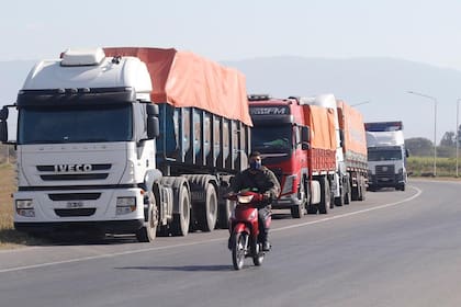 Según diversas estimaciones, el 60% de los camiones hace viajes sin carga; la plataforma Acarga permite a los productores vincularse con transportistas que tienen capacidad de carga libre