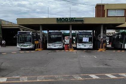 Paro este 6 de febrero: estas son las líneas de colectivo afectadas