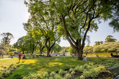 Parque Centenario, uno de los espacios verdes de mayor concurrencia dentro del territorio porteño
