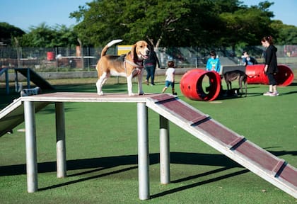 La suciedad en las calles por los excrementos de mascotas forma parte del conjunto de reclamos porteños