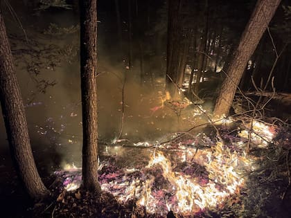 Parque Estatal del Bosque de Sterling: El incendio afecta principalmente esta área, donde se han suspendido actividades recreativas como la caza.