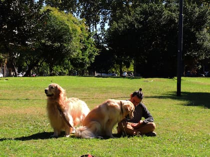 Parque Goyeneche, un largo tramo verde pegado a calle Donado.