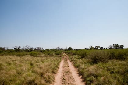 Parque Nacional Copo