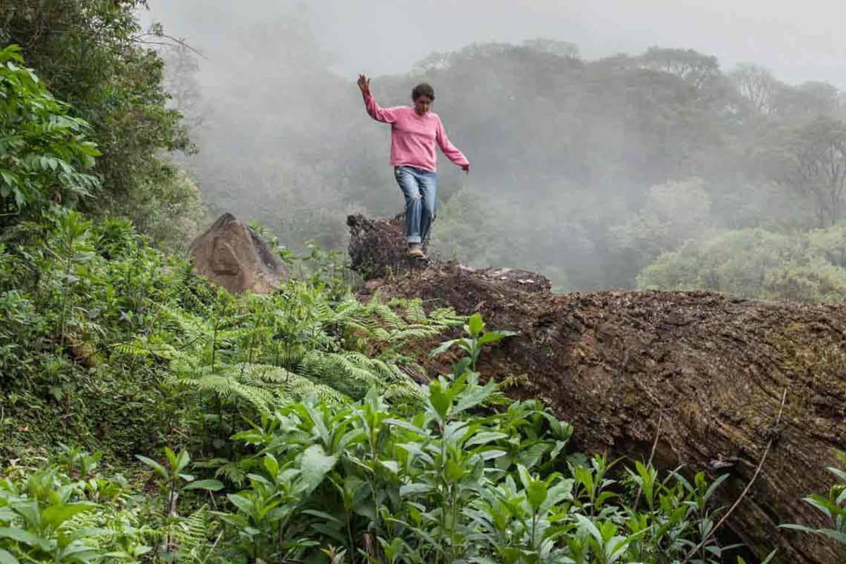Recorriendo el Parque Nacional Baritú.