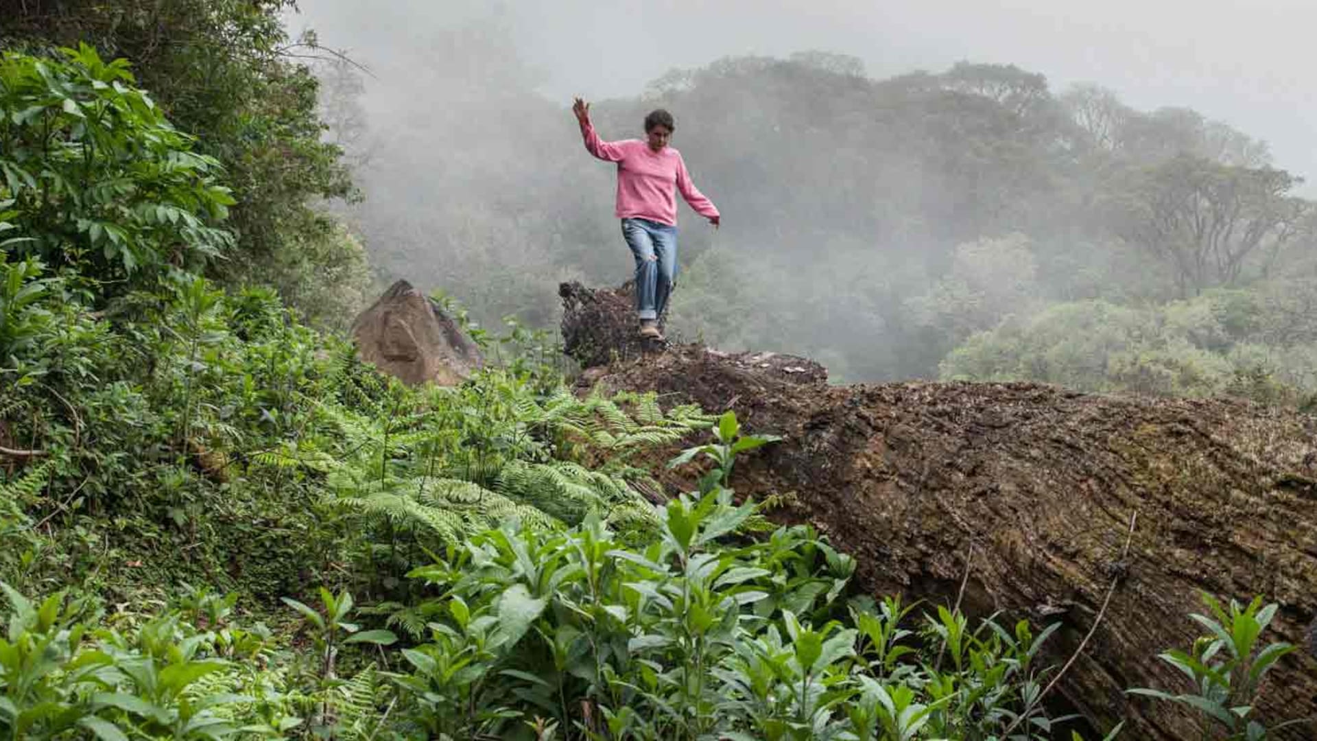 Recorriendo el Parque Nacional Baritú.