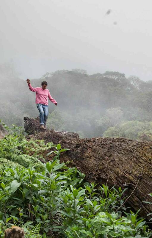 Recorriendo el Parque Nacional Baritú.