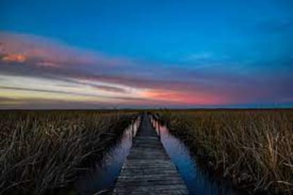 Parque Nacional Ciervo de los Pantanos, una belleza natural en Campana