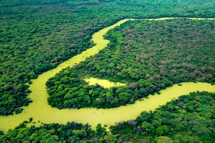 Parque Nacional El Impenetrable