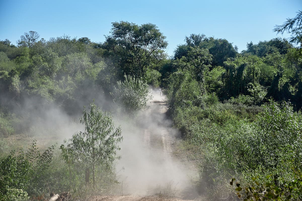 Parque Nacional El impenetrable: las nuevas autoridades deberán garantizar una mayor protección de la biodiversidad, fomentando que la producción sea sostenible