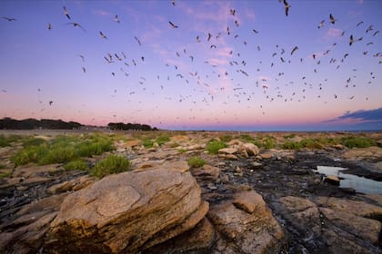 Parque Nacional Islote Lobos: un territorio protegido de 20.000 hectáreas