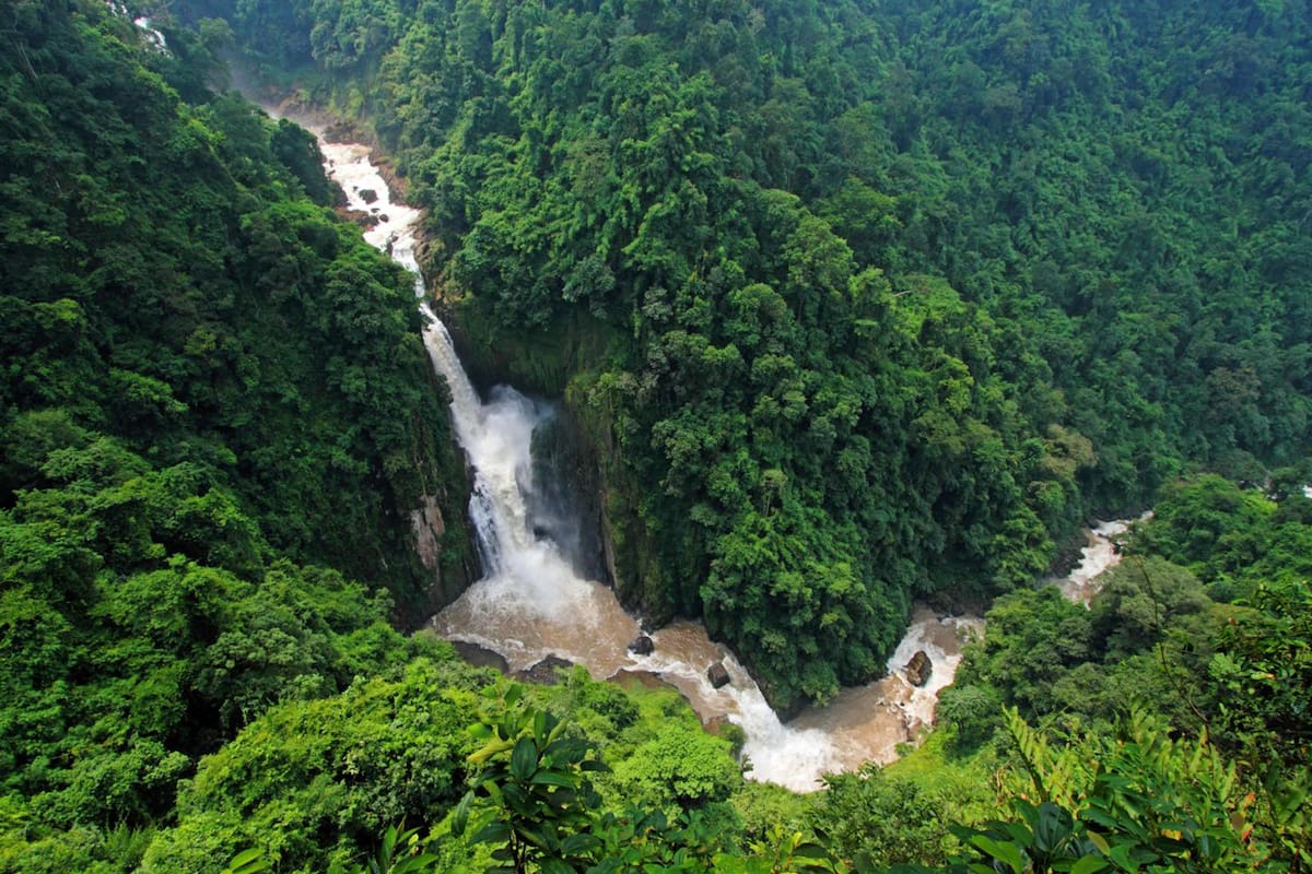 Parque Nacional Khao Yai