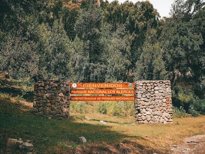 Parque nacional Los Alerces
