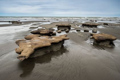 Parque Nacional Monte León
