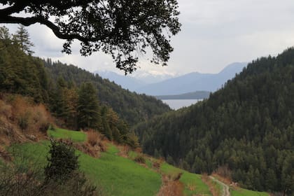 Parque nacional Rara, Nepal