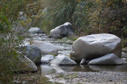 Parque Nacional Rio Clarillo en Pirque