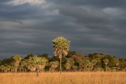 Parque Nacional Río Pilcomayo situado en la provincia de Formosa.