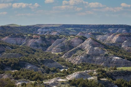 Parque Nacional Theodore Roosevelt