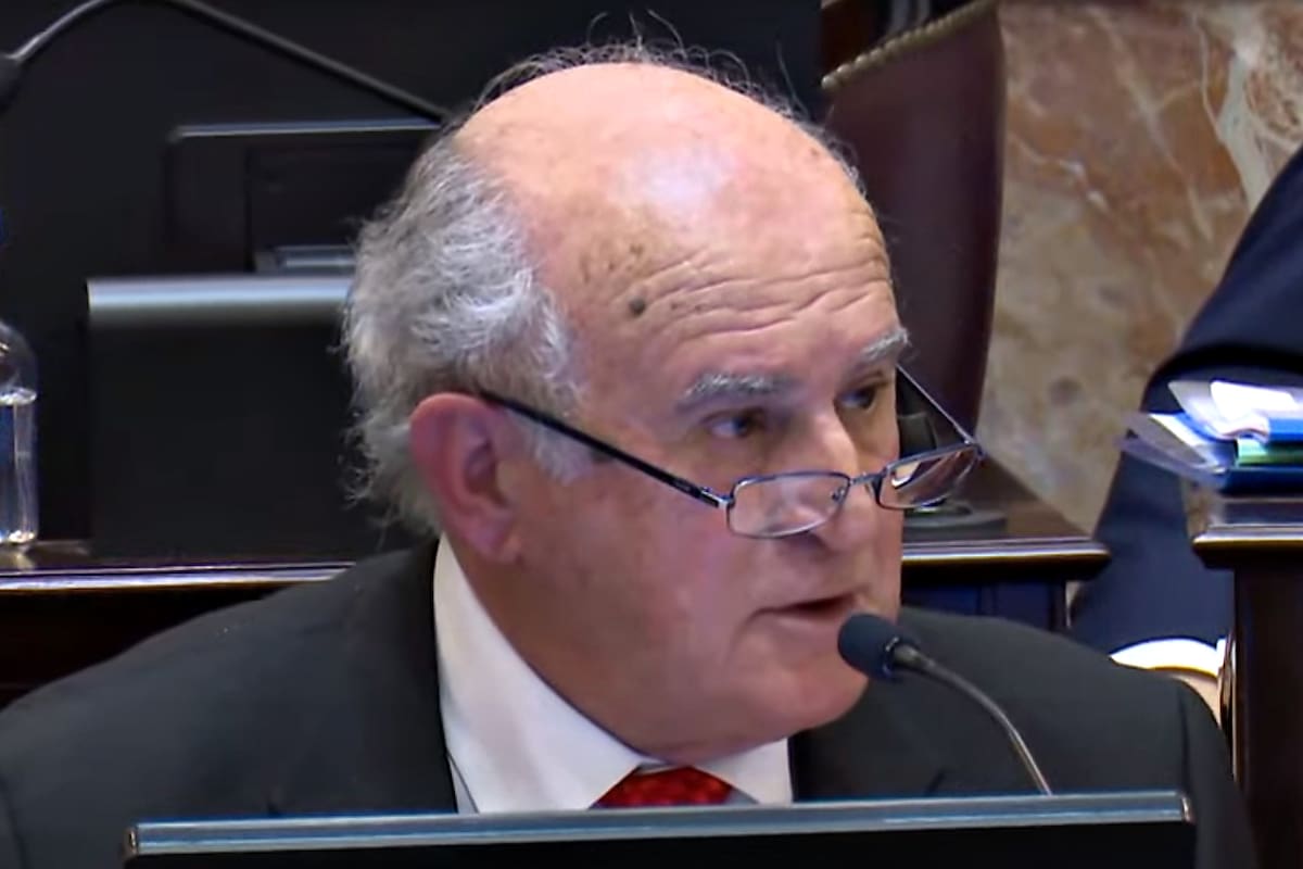 Parrilli en el Senado