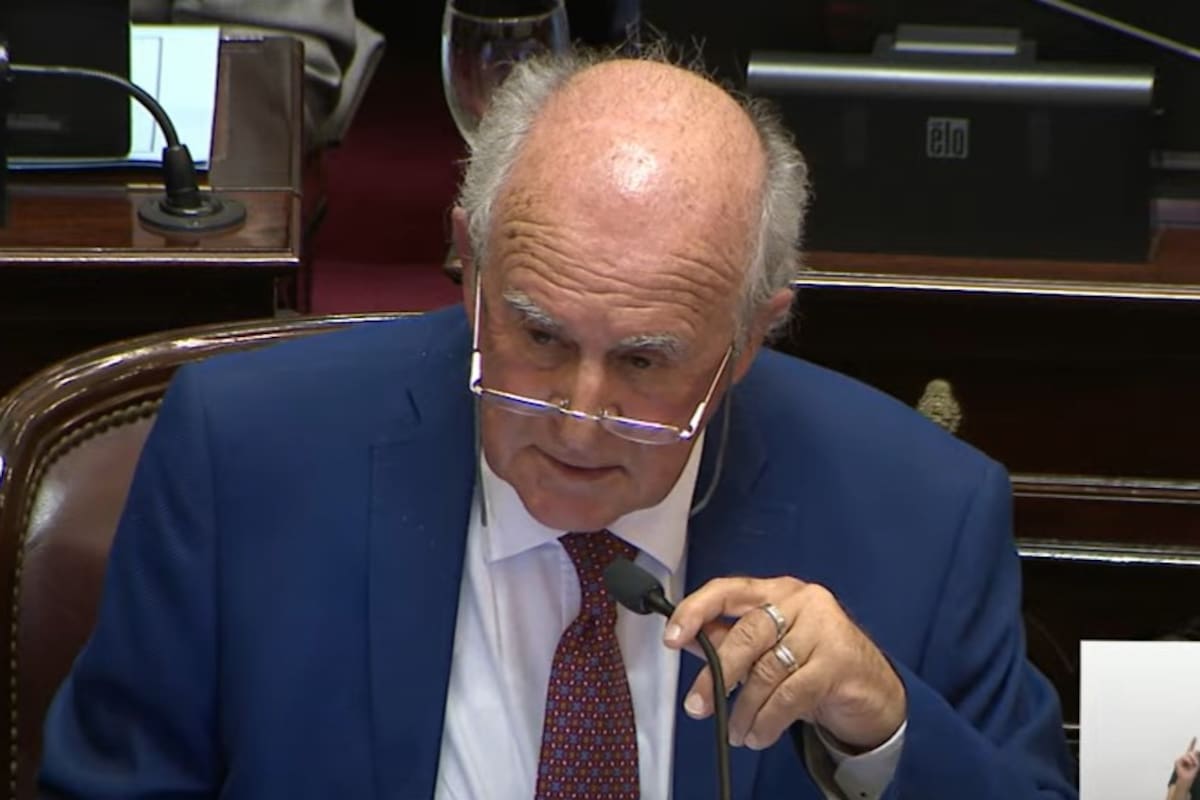 Parrilli en el Senado