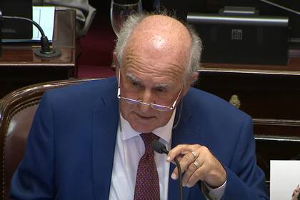 Parrilli en el Senado