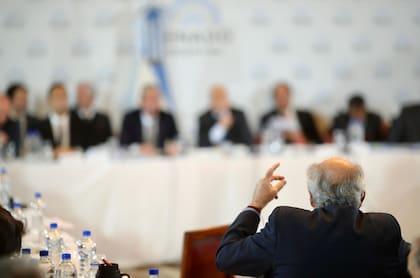 Parrilli en la Comisión de Presupuesto y Hacienda del Senado
