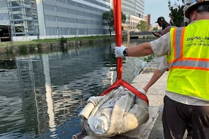 Parte de la estatua de Cristóbal Colón que había sido destrozada en Baltimore fue reconstruida e instalada en la Casa Blanca
