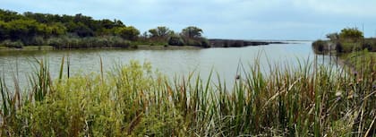 Parte de la laguna de la reserva natural en General Madariaga