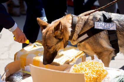 Parte de la mercadería fue donada a organizaciones sociales