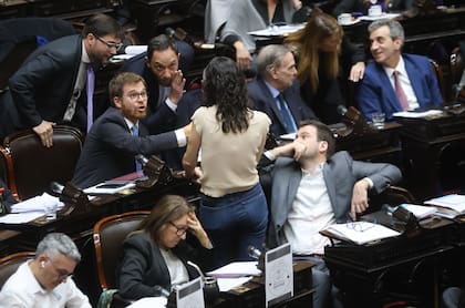 Parte de la oposición en el recinto de Diputados