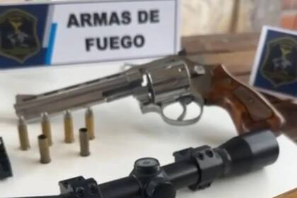 Parte de las armas secuestradas en Mar del Plata