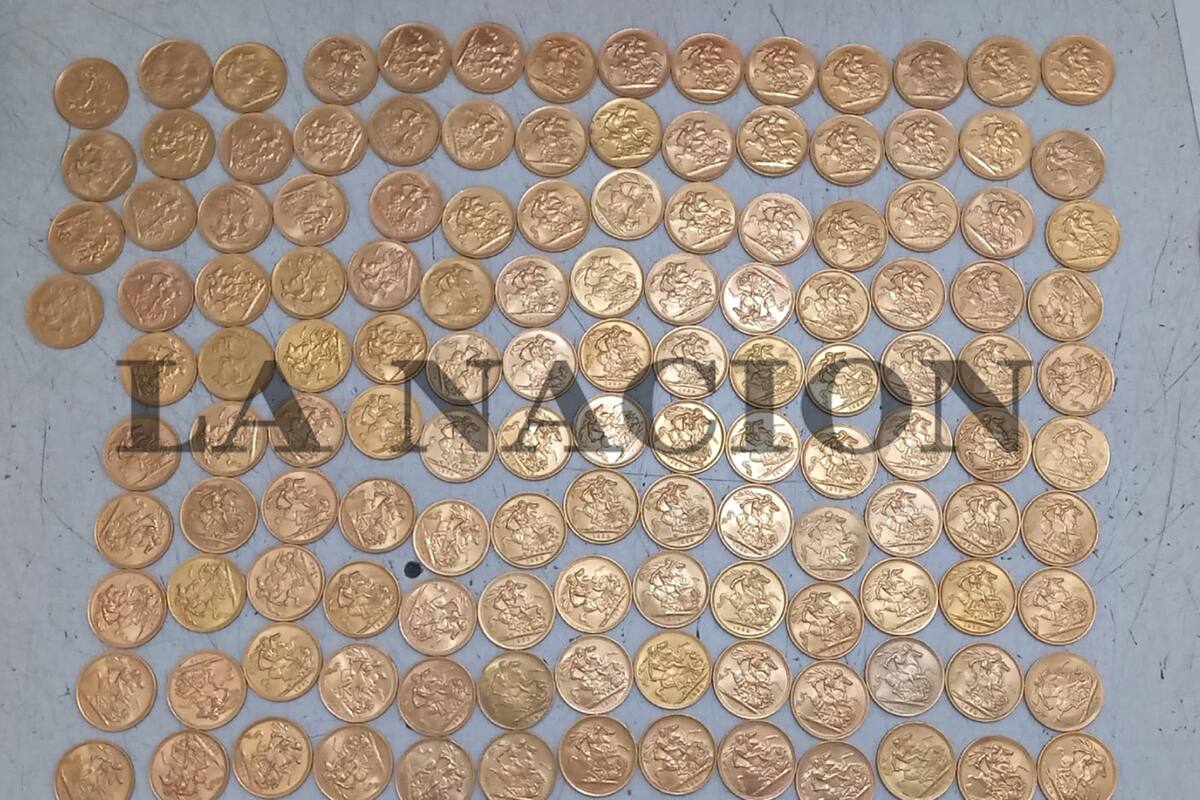 Parte de las monedas que estaban depositadas en la caja de seguridad y que no fueron sustraídas