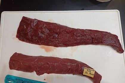 Parte de las muestras que fueron analizadas en laboratorio para establecer el perfil nutricional