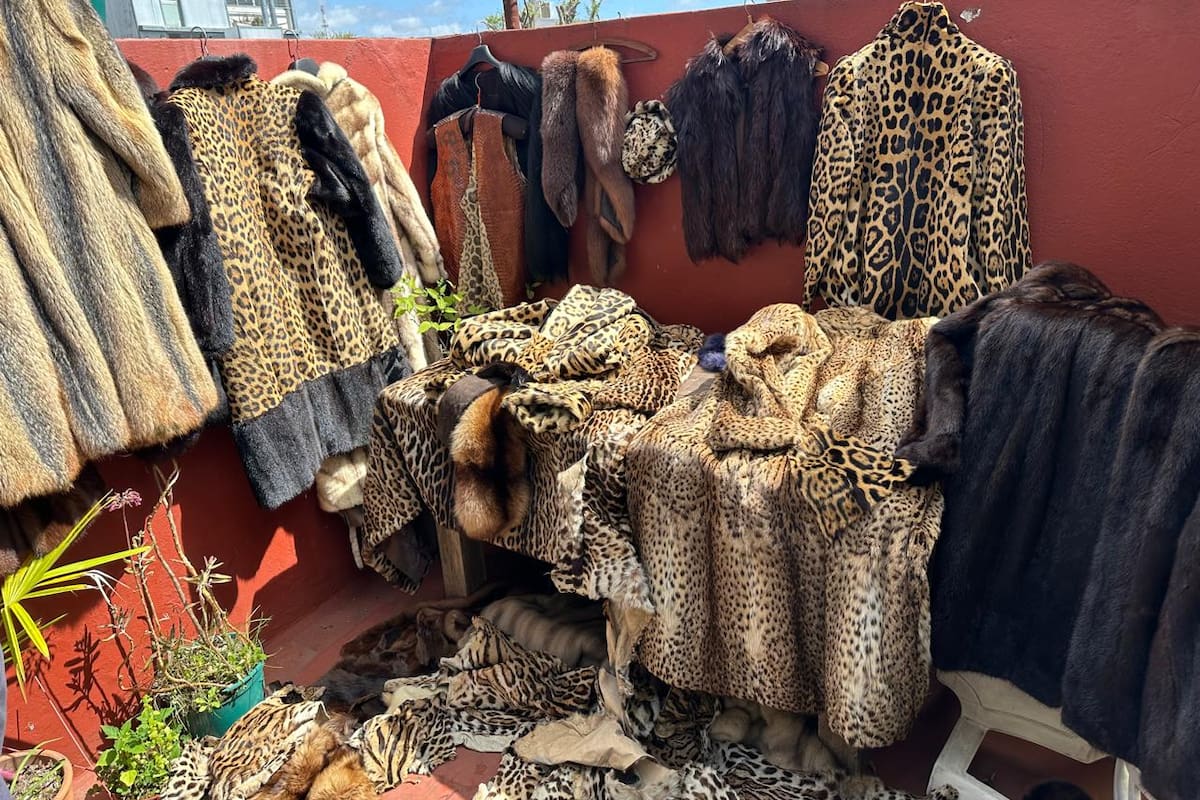Parte de las prendas encontradas en la vivienda de Villa Urquiza