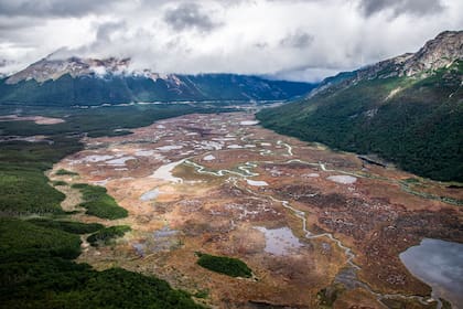 Parte de las turberas sobre las que se extendería Ushuaia si prospera el proyecto