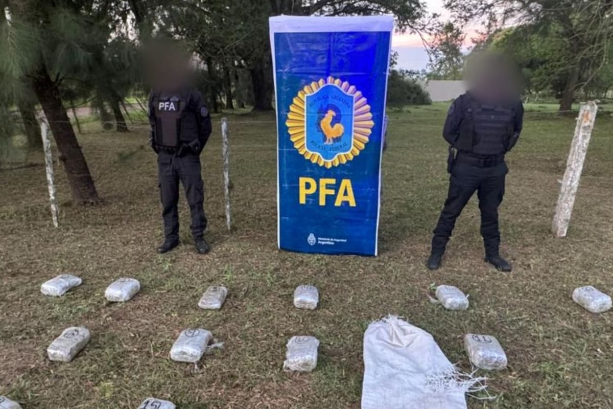 Parte de los casi 19 kilos de marihuana secuestrados en Chaco