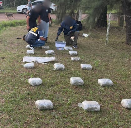 Parte de los casi 19 kilos de marihuana secuestrados en Chaco