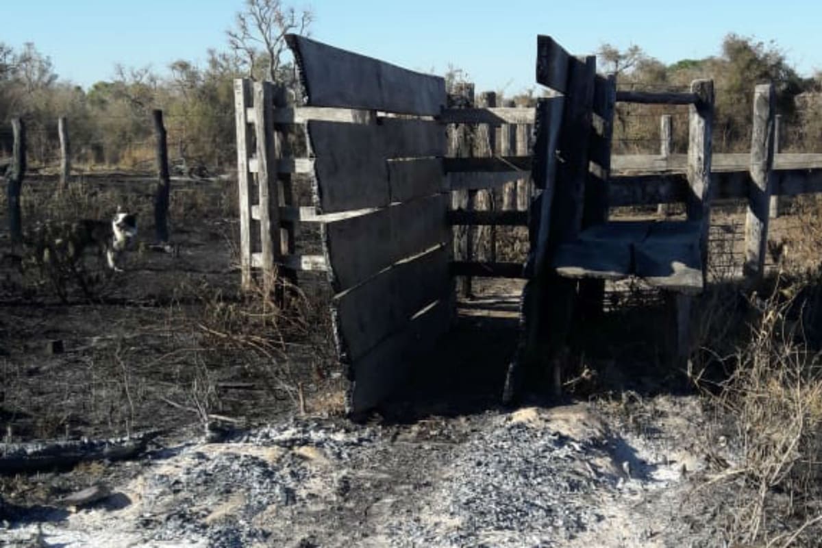 Parte de los daños que generó el incendio en el campo
