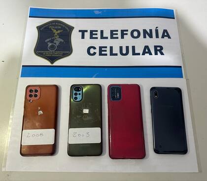 Parte de los elementos secuestrados en los cuatro allanamientos.