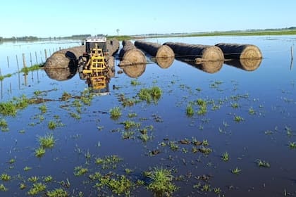 Parte de los rollos de alimento para el ganado quedó atrapado bajo el agua