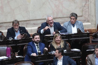 Parte del bloque Democracia, los impulsores de la sesión del 2 de julio que busca incomodar al Gobierno