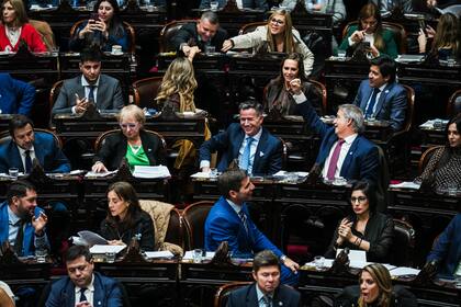 Parte del bloque libertario en el Diputados